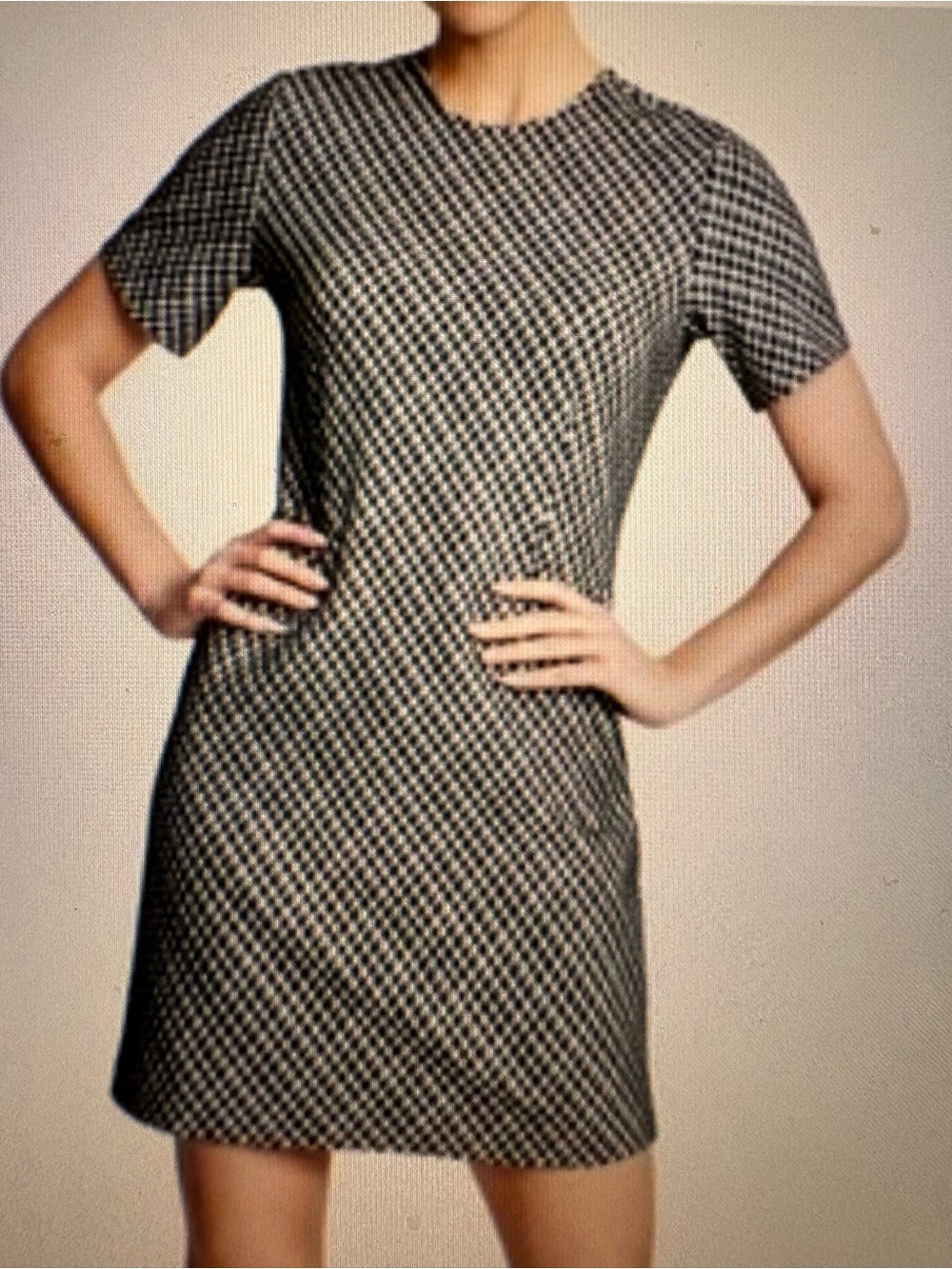 SPANX Black and White Check Crewneck Short Sleeve Mini Dress
